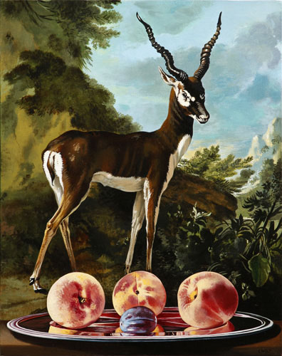 Blackbuck with Peaches
